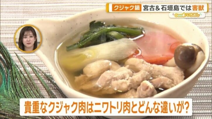 ニワトリの肉とどんな味の違い？