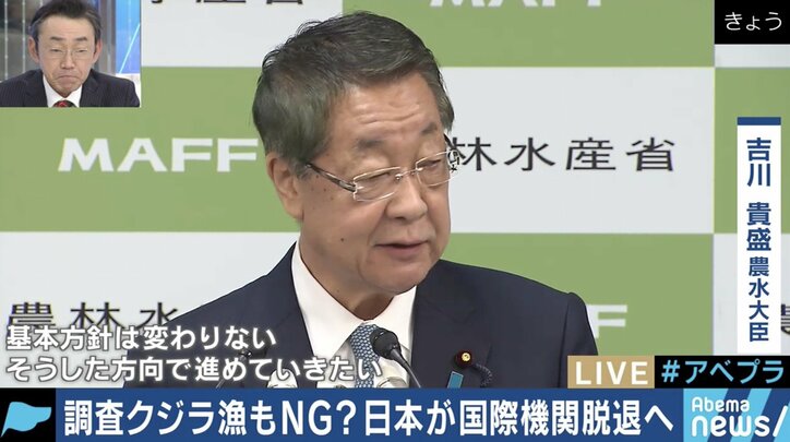クジラ肉は本当に必要？老人のノスタルジー？IWCを脱退して商業捕獲再開を目指す日本政府の思惑は