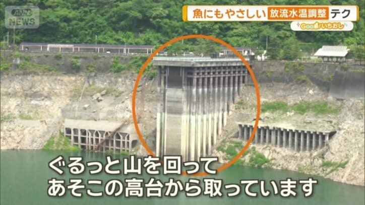 高台