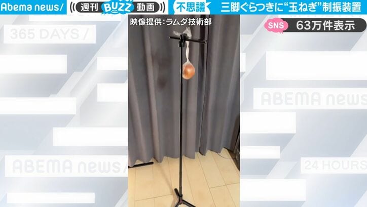 【写真・画像】階段を下りると声が出ちゃう！不思議な鳴き声を発する猫がかわいすぎると話題に「何回も見ちゃうw」　1枚目