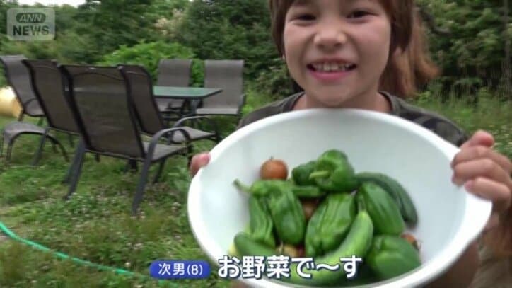 自宅の畑で野菜を収穫