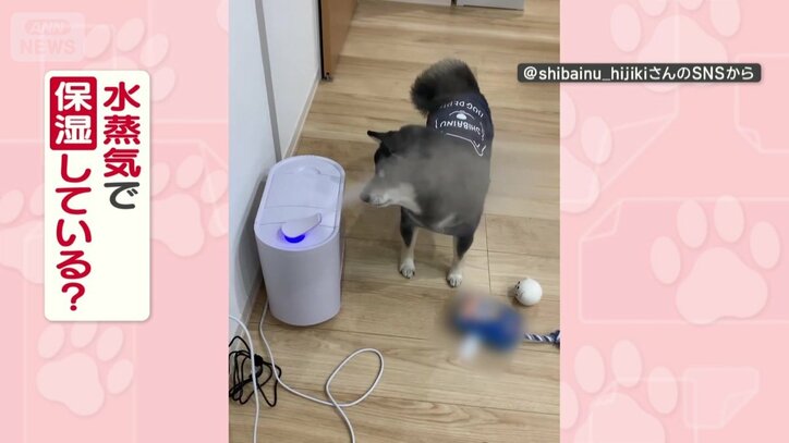 水蒸気で保湿している？