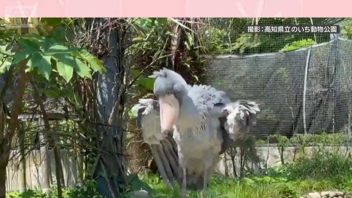 突然激しく動き出す