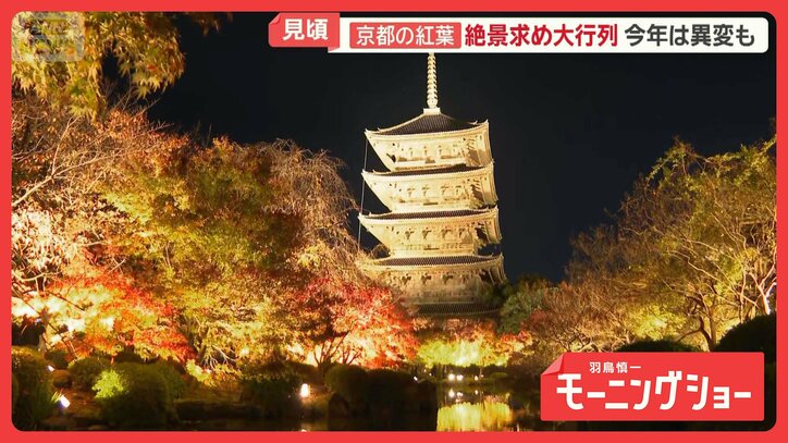3連休、紅葉真っ盛り「嵐山」大混雑 「竹林の小径」落書き…今年入って約350本被害