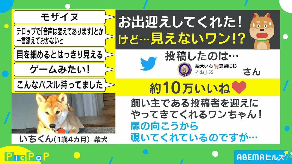 ゲームみたい 思わず笑ってしまう 愛犬の出迎え に飼い主 何度見ても面白い 国内 Abema Times