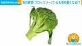 「年末年始、食べすぎたなぁ」に朗報…“旬の野菜”で心も体も軽くなる!? お手軽レシピや“洗い方”を紹介