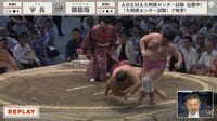 何でそれが残れるんだ」宇良、驚異の粘りからの“とったり”に拍手