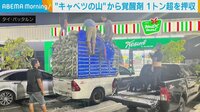 キャベツの山から覚醒剤 計1t超押収 タイ