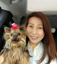 モト冬樹『妻は塩分が足りない？』