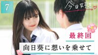 【向日葵編 第7話】君と過ごした夏 ひまわりのような恋の終わり