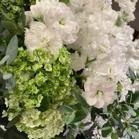 小柳ルミ子『坂本龍一さんが亡くなりました』