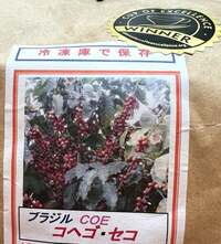 藤あや子『極上のもの』