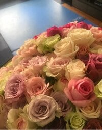 市川海老蔵『麗禾へのプレゼントの1つ』