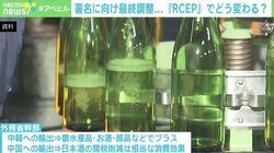 RCEP署名で移民流入はある？ 中国・韓国と結ぶ初の貿易協定で変わること