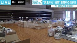 “体育館で雑魚寝”は異常 最低限の安全を守る国際基準「スフィア基準」