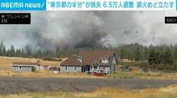 “東京都の半分”が焼失 6.5万人避難 鎮火めど立たず 米