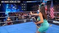 あぶない！ “ミニスカすぎる”女子レスラーにアクシデント発生…まさかの襲撃者乱入で思わぬ瞬間「ギリギリだ」