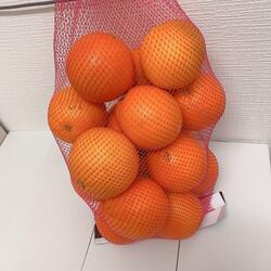  ギャルママ・日菜あこ『コストコ』の店員からおすすめされた品を紹介「買って正解でした」 