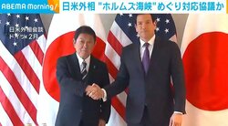 日米外相 “ホルムズ海峡”めぐり対応協議か
