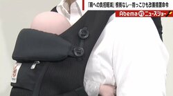 子育て世代に衝撃、人気抱っこひもの効果は「根拠なし」 1児の母タレント「実際に使用していたが…」