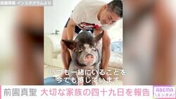 前園真聖、大切な家族“セブンくん”の四十九日を報告「妻と一緒にいる時にセブンの鳴き声が聞こえて…」