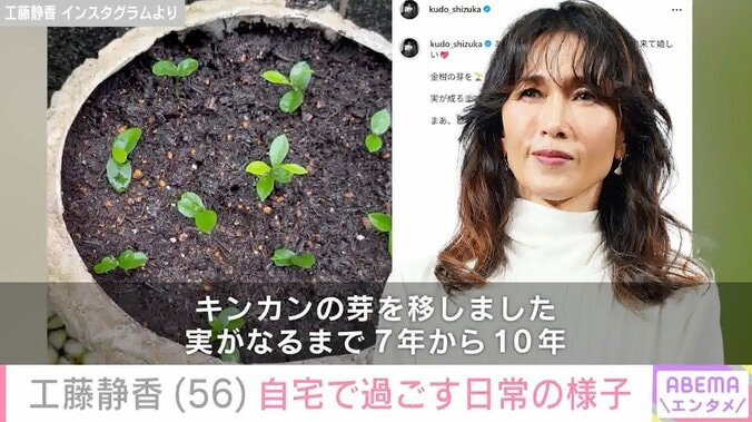 工藤静香 Instagramより