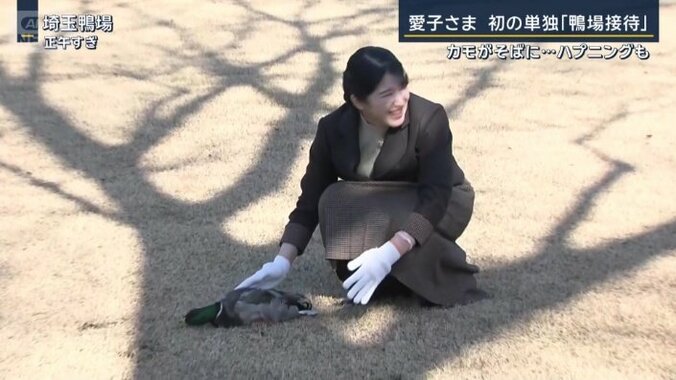 戸惑われる愛子さま