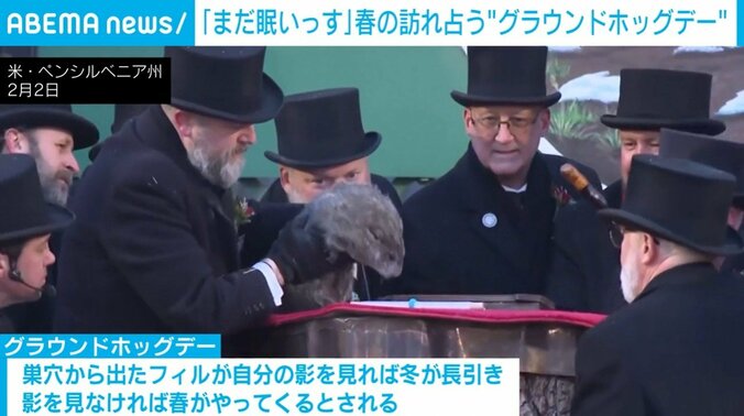 占いをするフィル