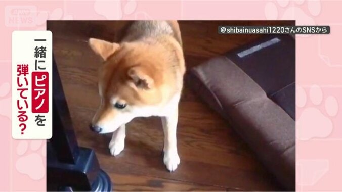 一緒に弾いてるつもりなの？