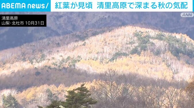 清里高原