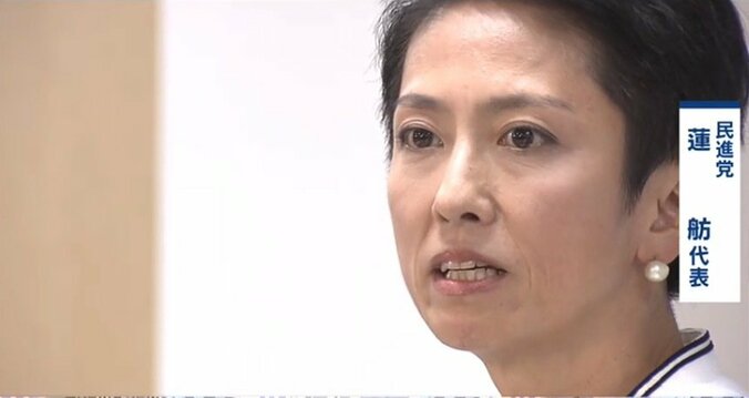 閉会中審査 “民進党の追及は不発”との声に原口議員「将棋で言えば詰んでいる」小西議員「今後に期待してほしい」 1枚目