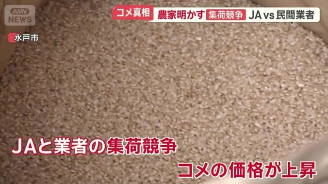 JAとそれ以外の業者の集荷競争