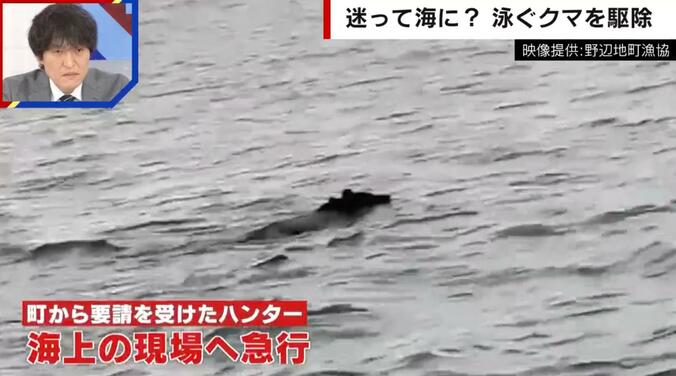 海を泳ぐクマ