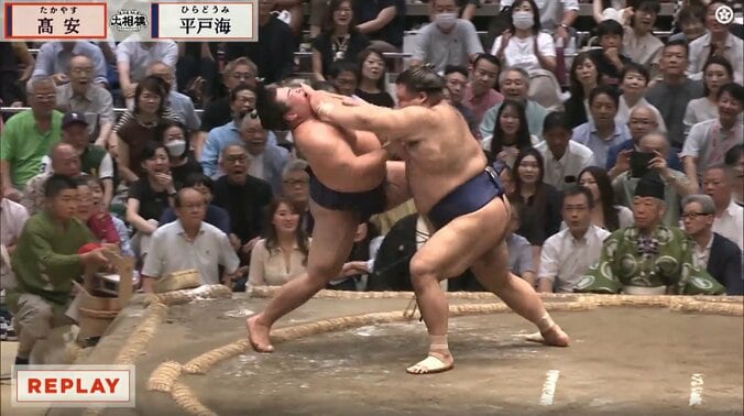 九代目・林家正蔵さん