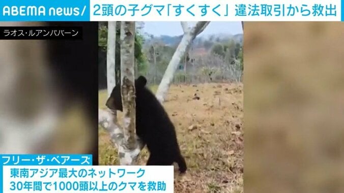 ラオス・ルアンパバーン