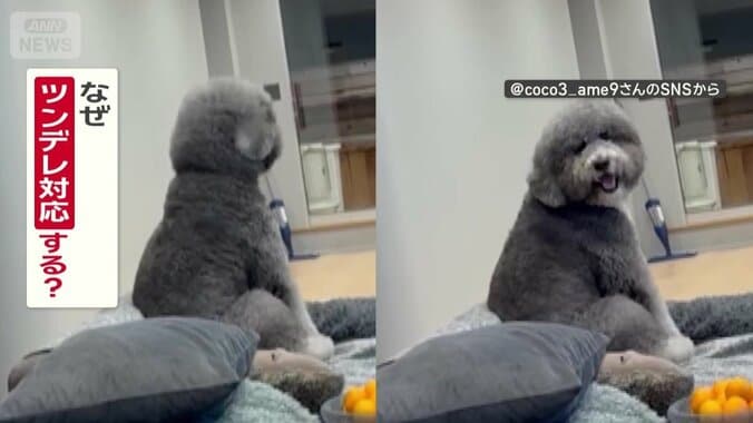 なぜツンデレ対応する？