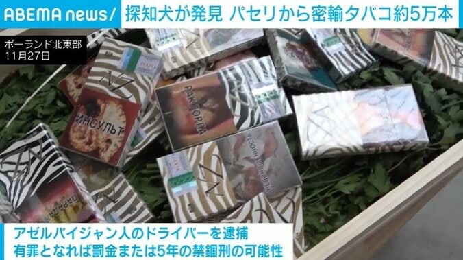 パセリの中から発見された“密輸タバコ”