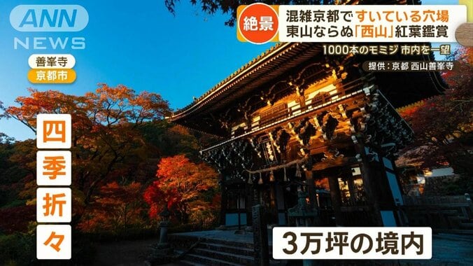 外国客で大混雑・京都で紅葉の穴場スポット3選　「西山」で絶景ゆったり 1枚目