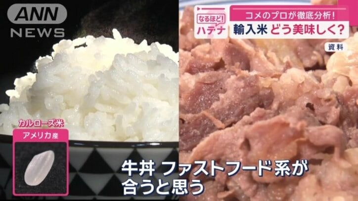 どのような料理に合う?