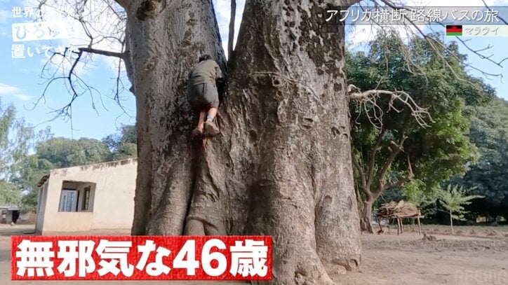 木登り挑戦であわや骨折事故！？ひろゆき（46）、アフリカで木から落ちる