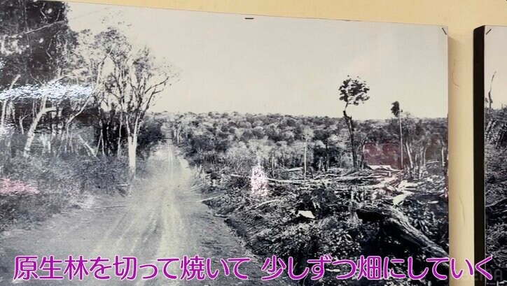 【写真・画像】17年間ずっと海外を旅し続ける夫婦をパラグアイで発見「子どもが生まれても続けてる」「7歳長女は6ヶ国語喋れる」　4枚目