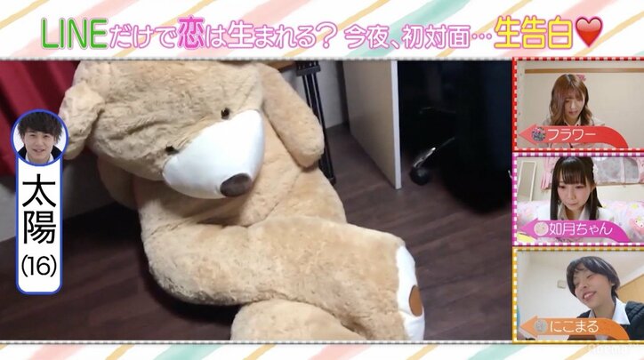 パンサー向井、ピンク一色の女子部屋に「30歳くらいになるとキツイ」