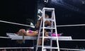 “お尻”で相手とハシゴを… セクシー美女レスラー、超強烈“ヒップボム”に会場騒然