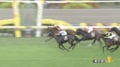 【菊花賞】ゴーイントゥスカイが接戦制し勝利！ 武豊は菊花賞最多6勝目…ロブチェン史上9頭目の牡馬クラシック三冠達成ならず