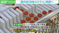 【映像】効果は？ コロナ治療薬、国内で「抗体カクテル」承認申請