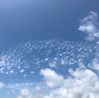 奥山佳恵『超速２０分ネイル』