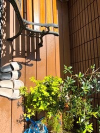 堀ちえみ『この2〜3日うまく伝わらない言語』