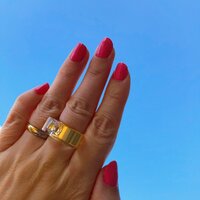 平野ノラ『太』