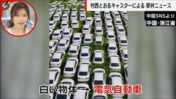 一面に広がる“EV墓場”にテスラオーナーが憤り　会社倒産で行き場を失った電気自動車が大量放置「なんのためのEV？」