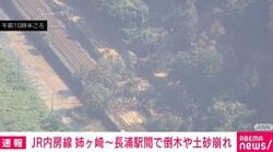 JR内房線 姉ケ崎～長浦駅間で倒木や土砂崩れ